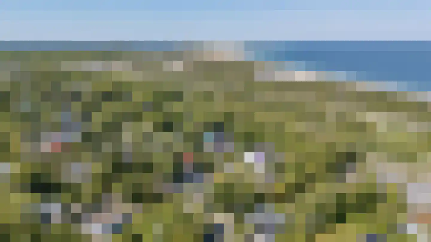 Leeuwerikenlaan 14 Kamperland thumbnail 29