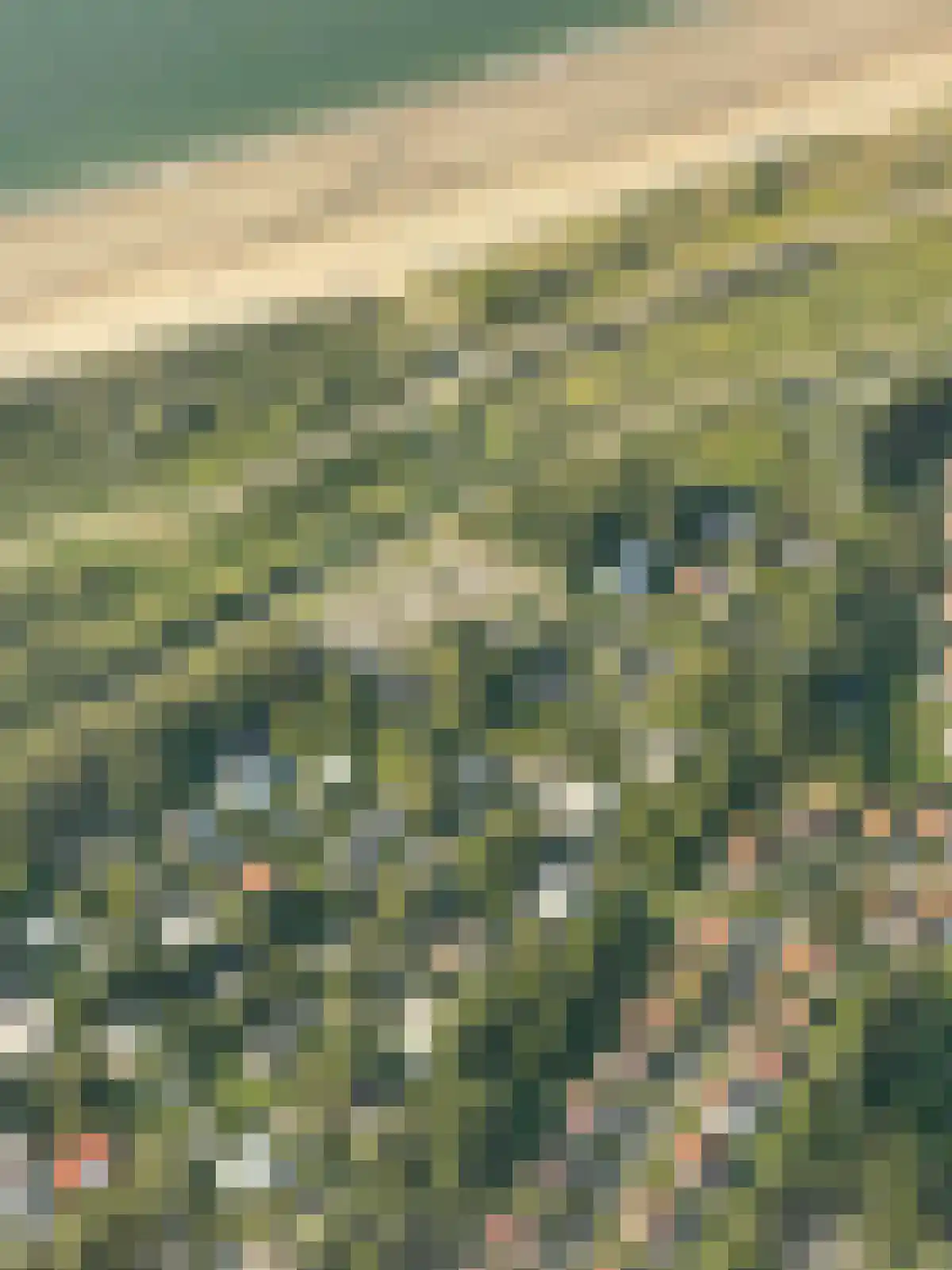 Leeuwerikenlaan 14 Kamperland thumbnail 30