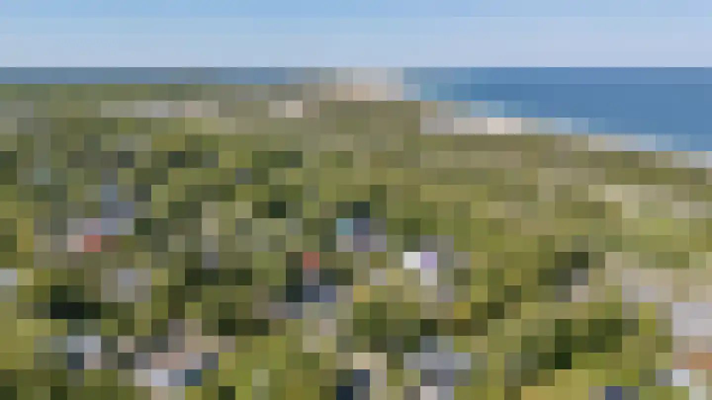 Leeuwerikenlaan 14 Kamperland thumbnail 31