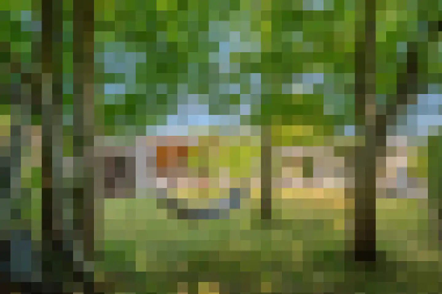 Leeuwerikenlaan 14 Kamperland thumbnail 4