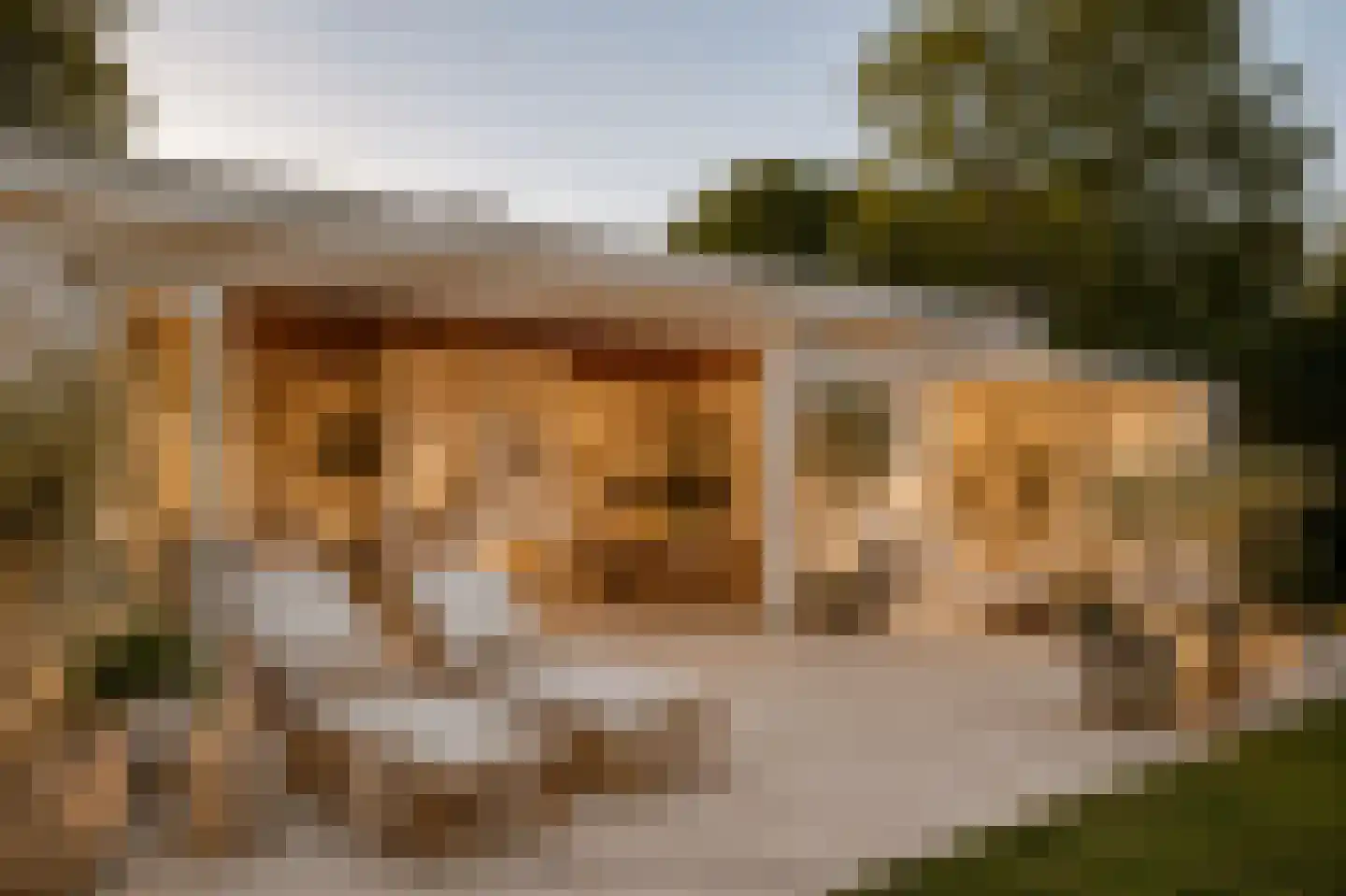 Leeuwerikenlaan 14 Kamperland thumbnail 5