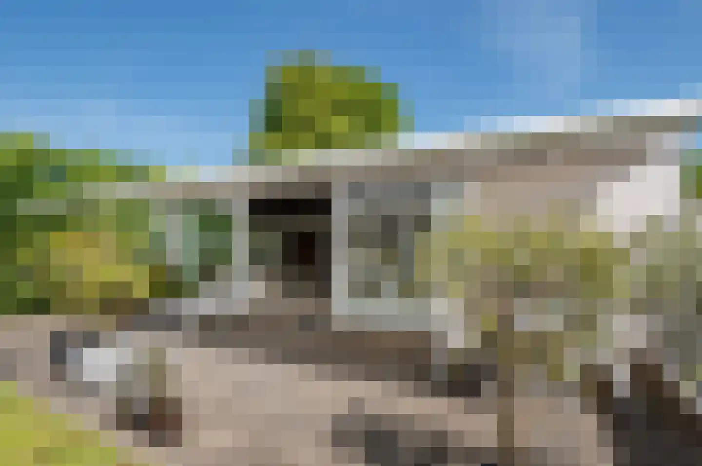 Leeuwerikenlaan 14 Kamperland thumbnail 6