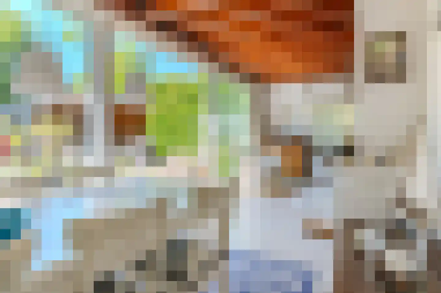 Leeuwerikenlaan 14 Kamperland thumbnail 7