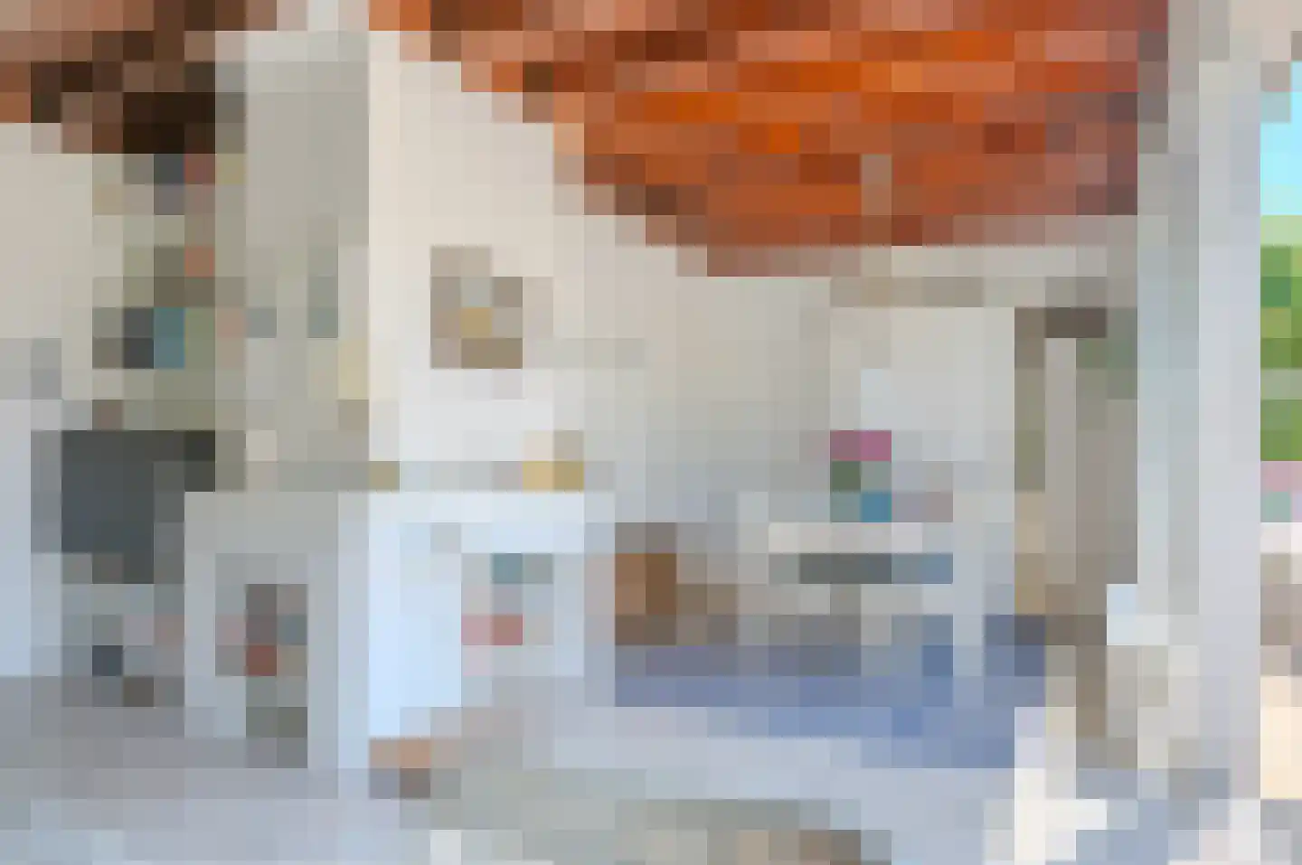 Leeuwerikenlaan 14 Kamperland thumbnail 8
