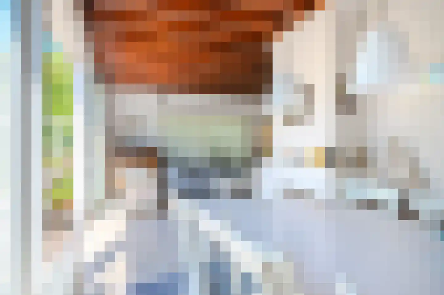 Leeuwerikenlaan 14 Kamperland thumbnail 8