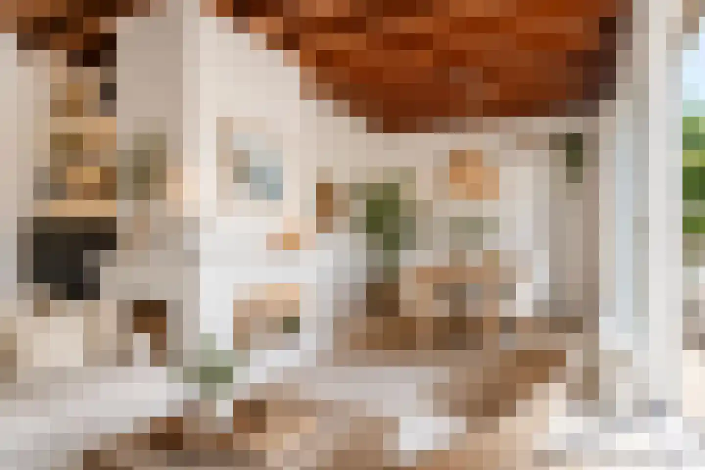 Leeuwerikenlaan 14 Kamperland thumbnail 9