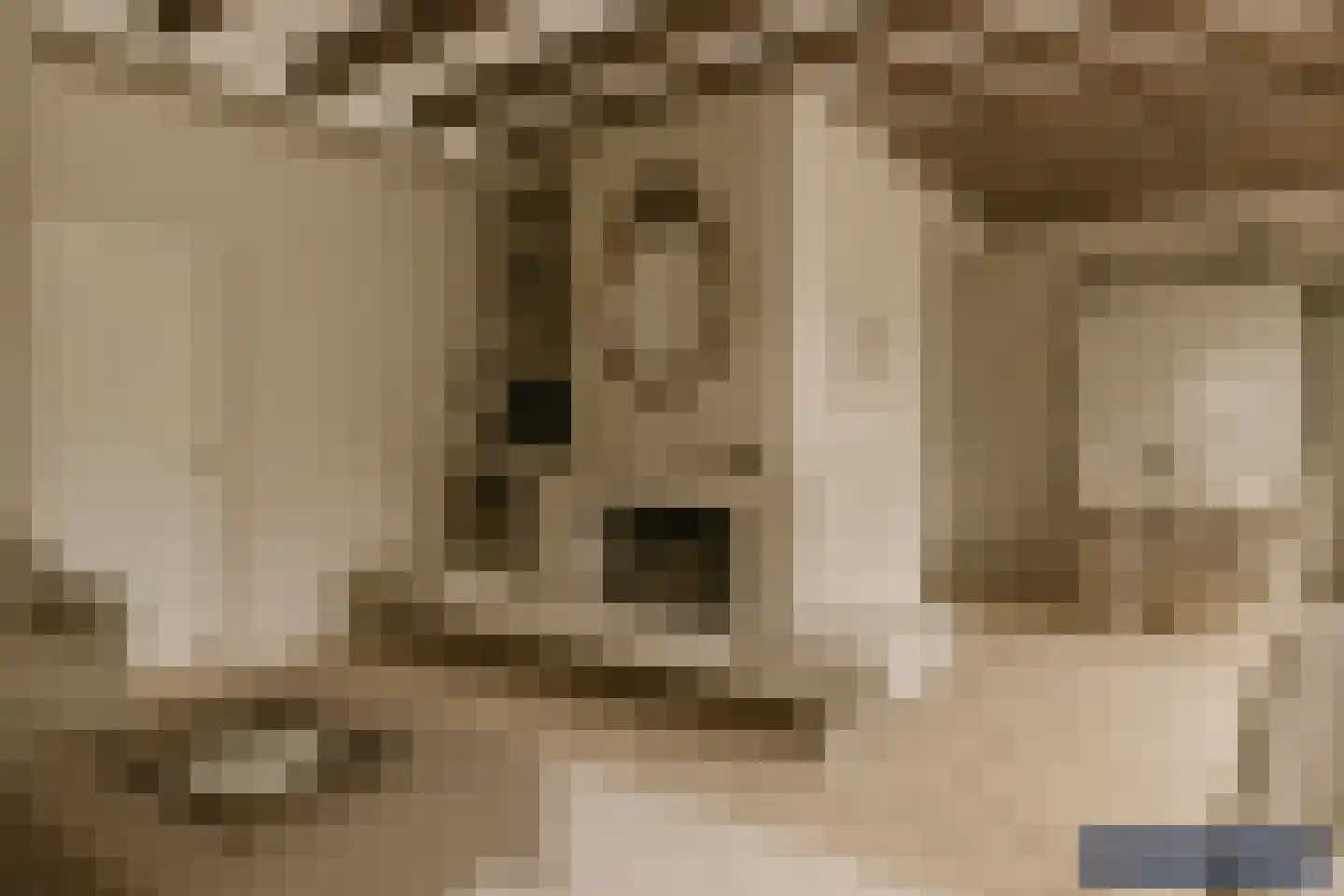 Leeuwerikenlaan 16 Kamperland thumbnail 13