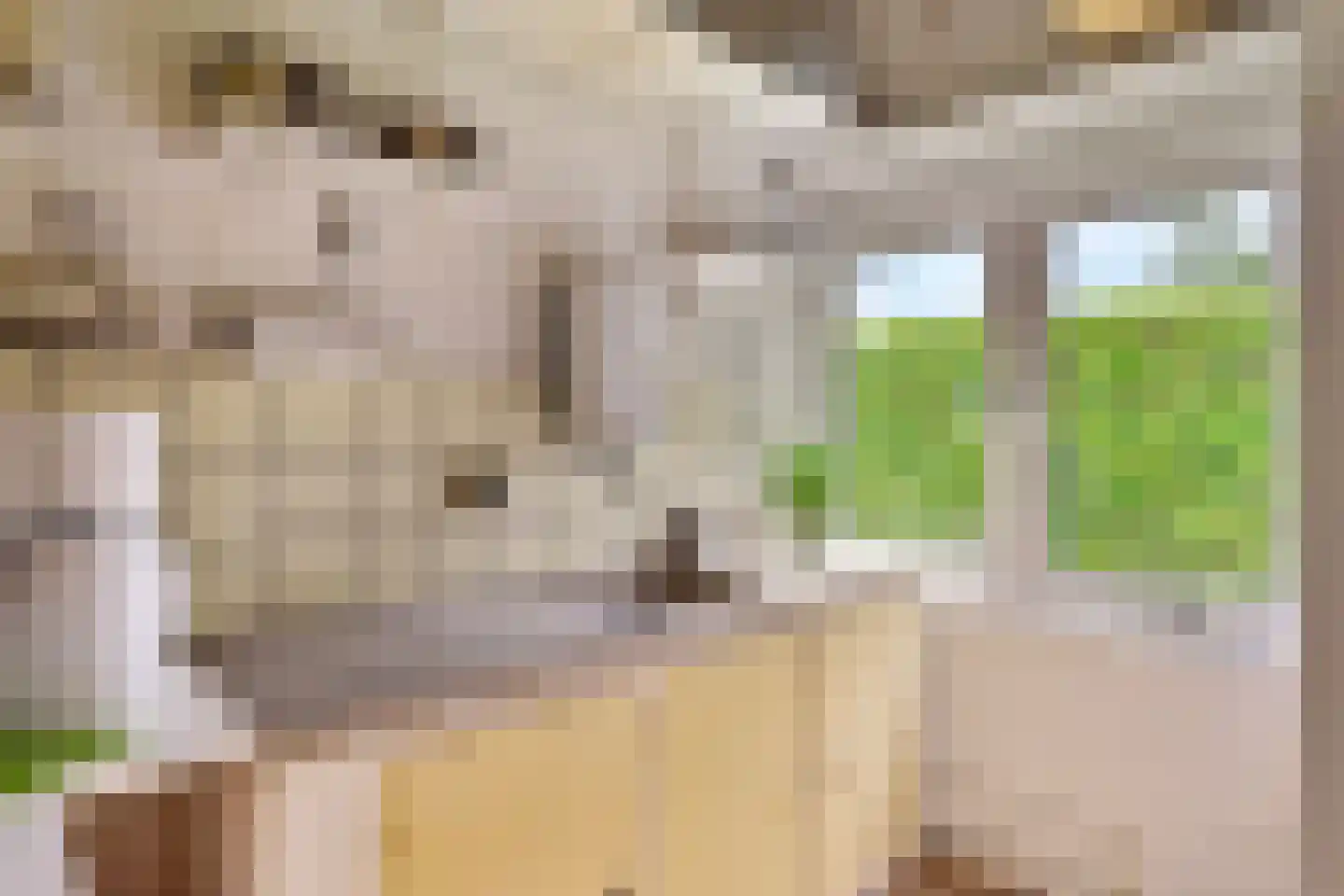 Leeuwerikenlaan 16 Kamperland thumbnail 14