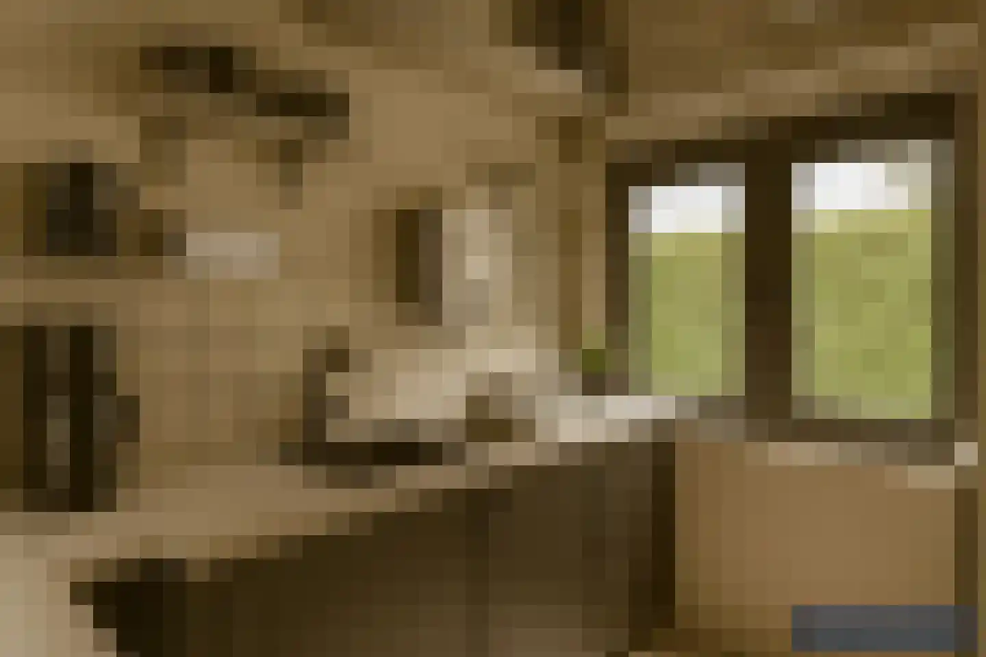 Leeuwerikenlaan 16 Kamperland thumbnail 15