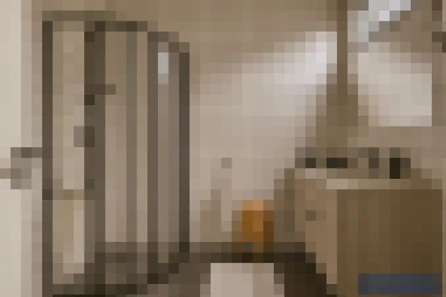 Leeuwerikenlaan 16 Kamperland thumbnail 17