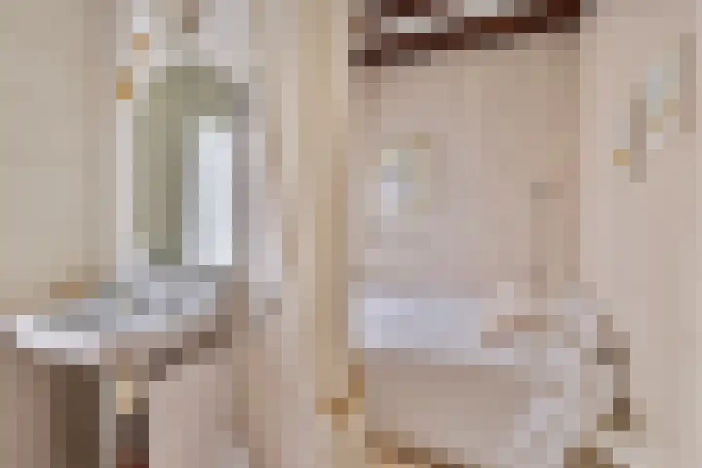Leeuwerikenlaan 16 Kamperland thumbnail 18