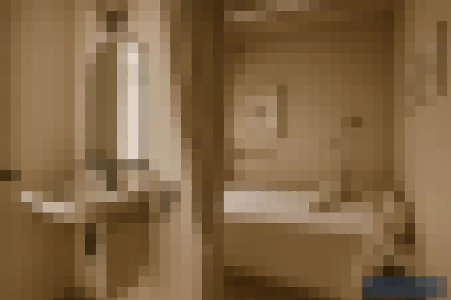 Leeuwerikenlaan 16 Kamperland thumbnail 19