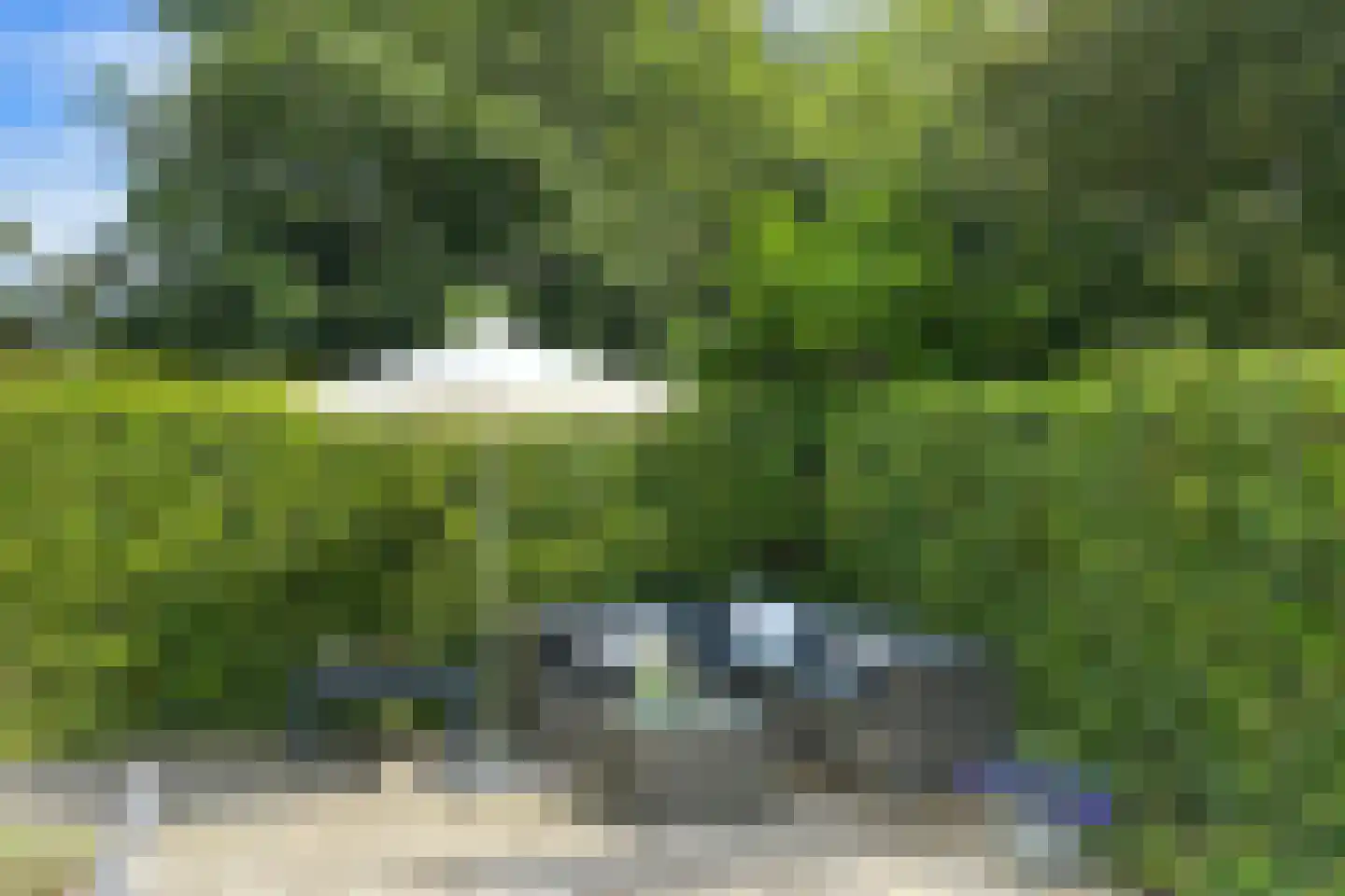 Leeuwerikenlaan 16 Kamperland thumbnail 20