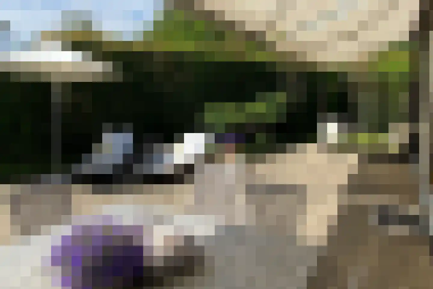 Leeuwerikenlaan 16 Kamperland thumbnail 5