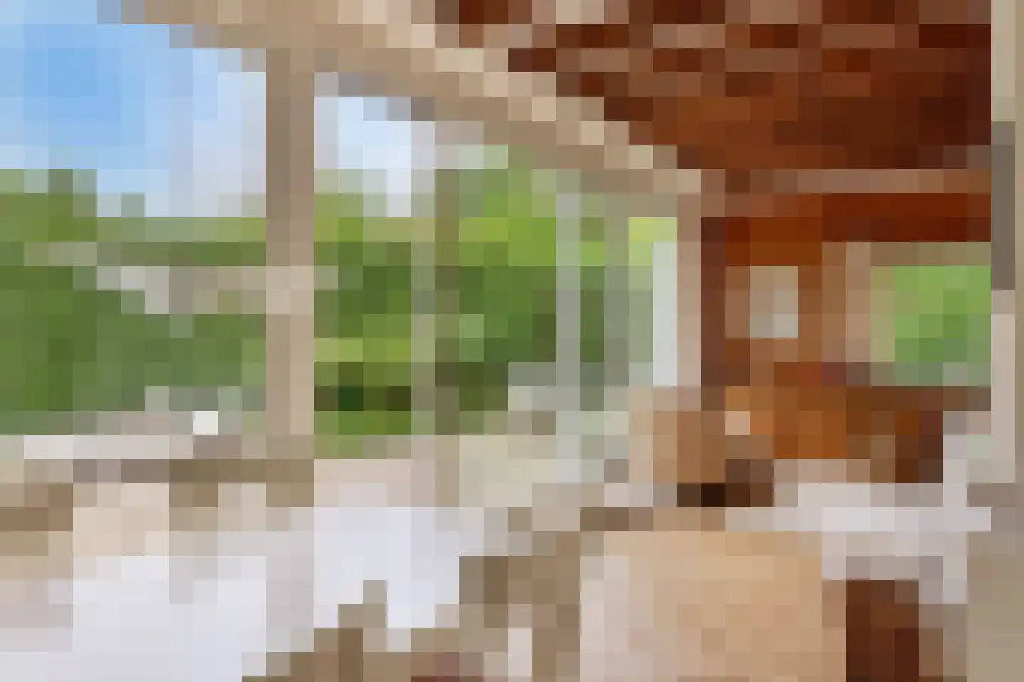 Leeuwerikenlaan 16 Kamperland thumbnail 7