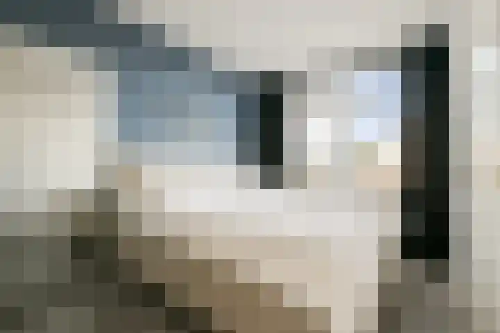 Leeuwerikenstraat 12 F 3 Zandvoort thumbnail 12