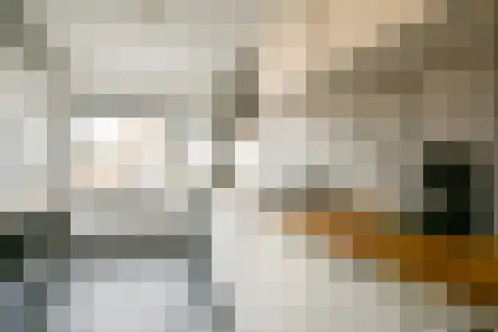 Leeuwerikenstraat 12 F 3 Zandvoort thumbnail 8