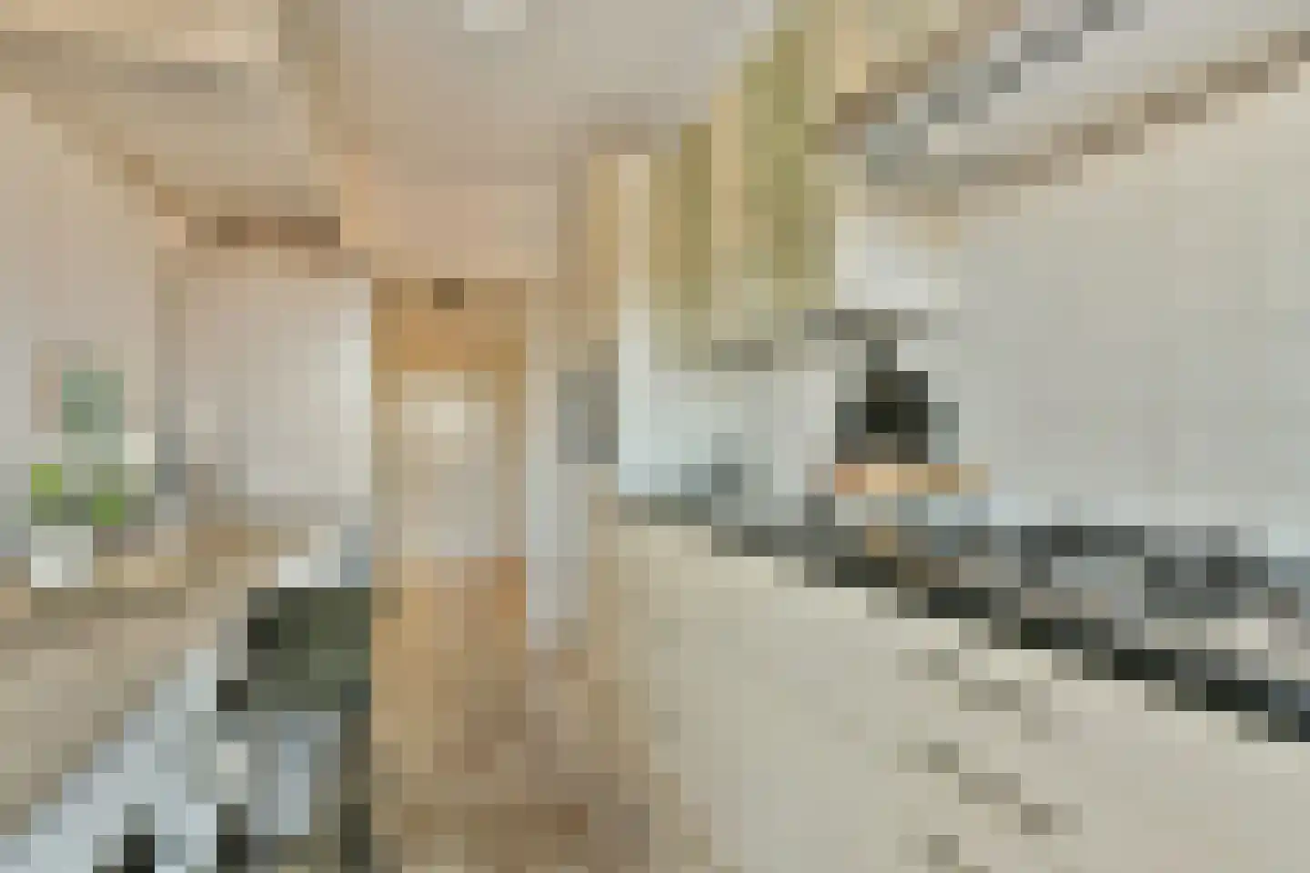 Leeuwerikenstraat 16 F 4 Zandvoort thumbnail 13
