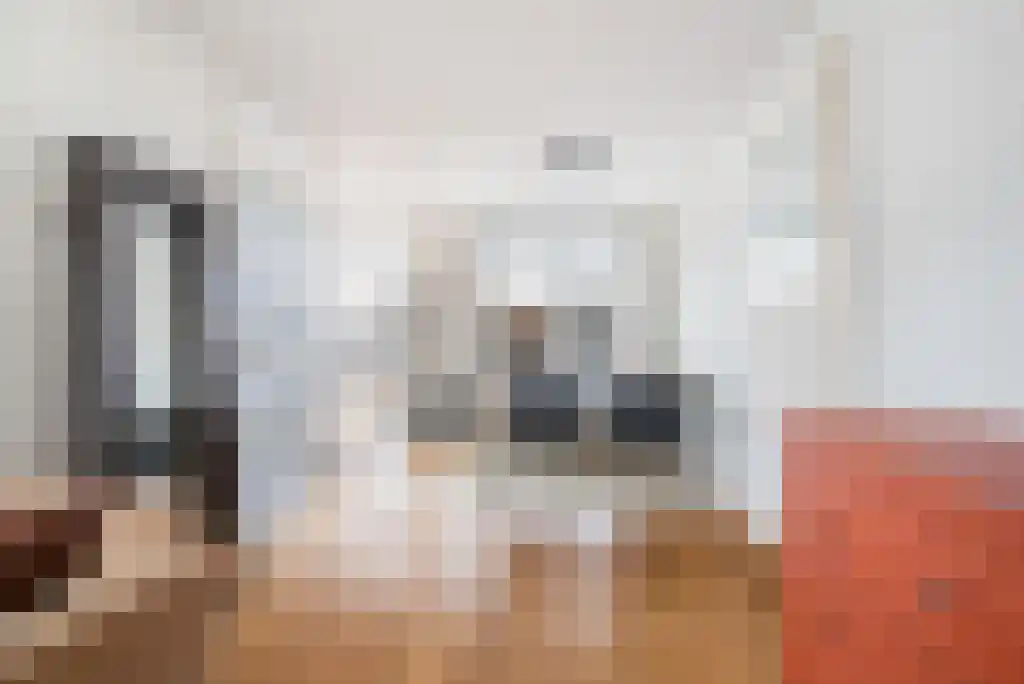 Leeuwerikenstraat 18 Goes thumbnail 5