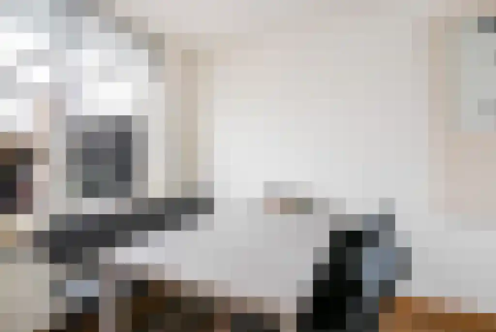 Leeuwerikenstraat 18 Goes thumbnail 6