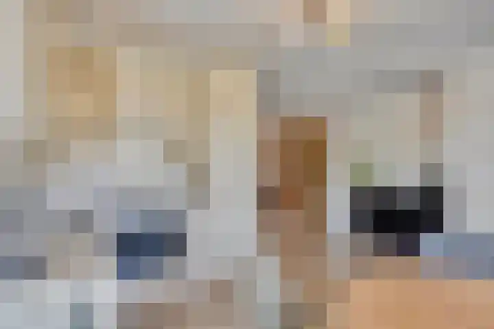 Leeuwerikenstraat 19 Goes thumbnail 10