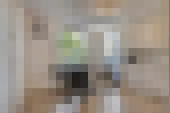 Leeuwerikenstraat 19 Goes thumbnail 12