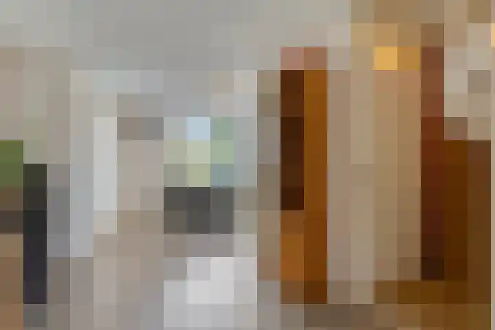 Leeuwerikenstraat 19 Goes thumbnail 14