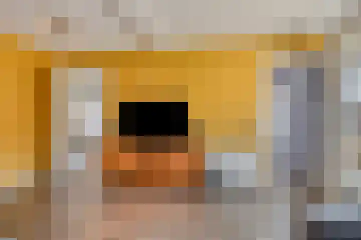 Leeuwerikenstraat 19 Goes thumbnail 16