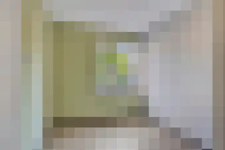 Leeuwerikenstraat 19 Goes thumbnail 18