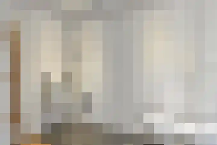 Leeuwerikenstraat 19 Goes thumbnail 20