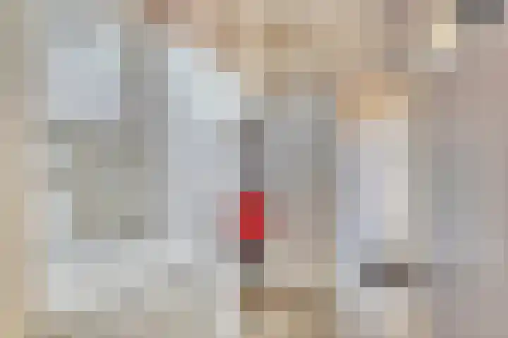 Leeuwerikenstraat 19 Goes thumbnail 22
