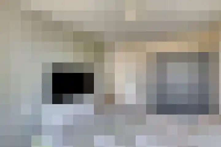 Leeuwerikenstraat 19 Goes thumbnail 23