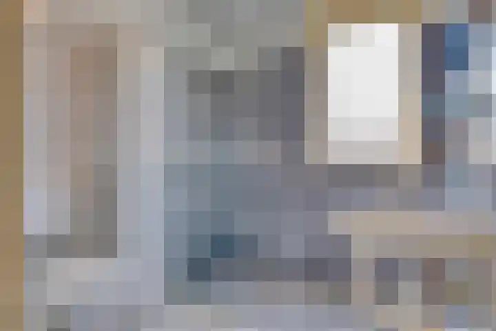 Leeuwerikenstraat 19 Goes thumbnail 27