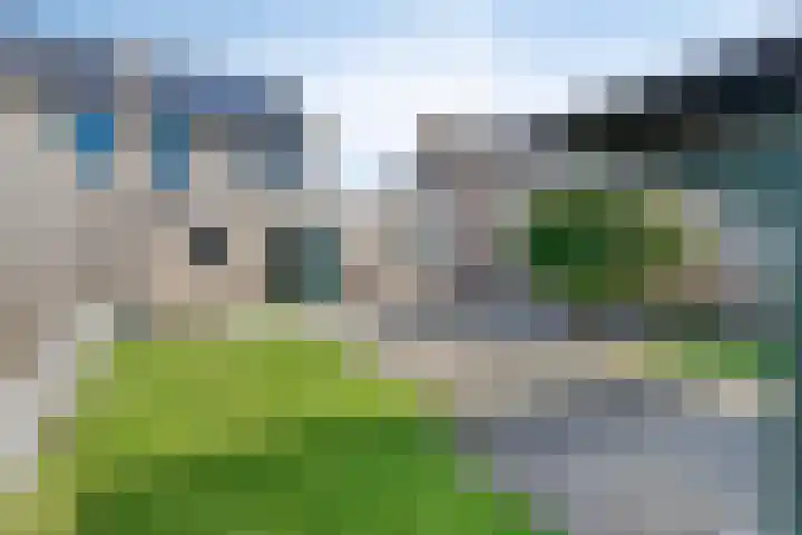 Leeuwerikenstraat 19 Goes thumbnail 34