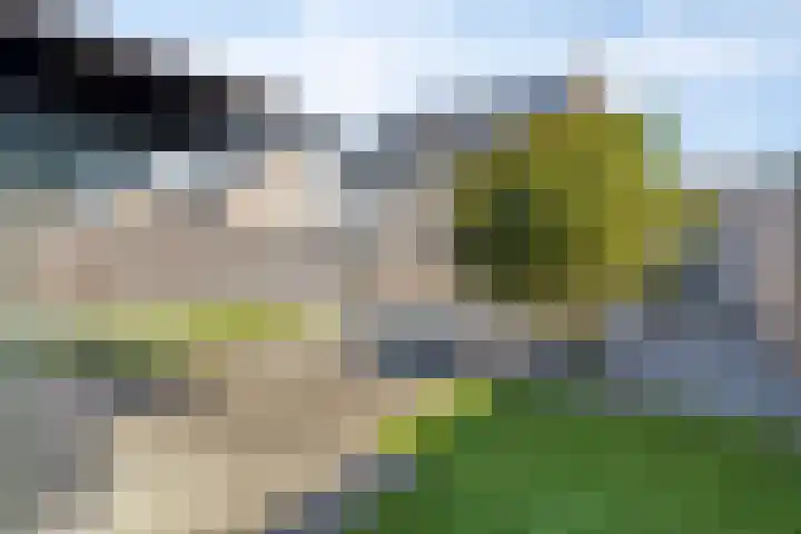 Leeuwerikenstraat 19 Goes thumbnail 35