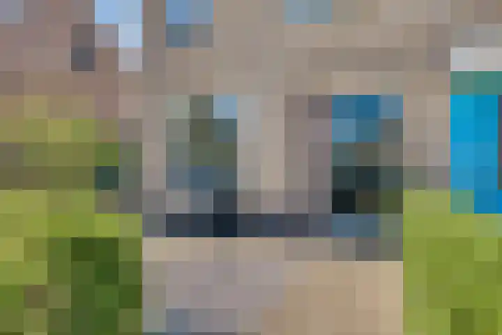 Leeuwerikenstraat 19 Goes thumbnail 36
