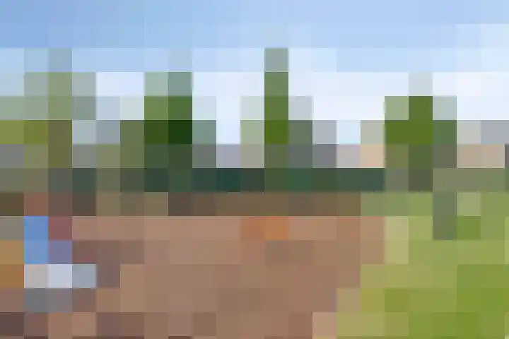 Leeuwerikenstraat 19 Goes thumbnail 39