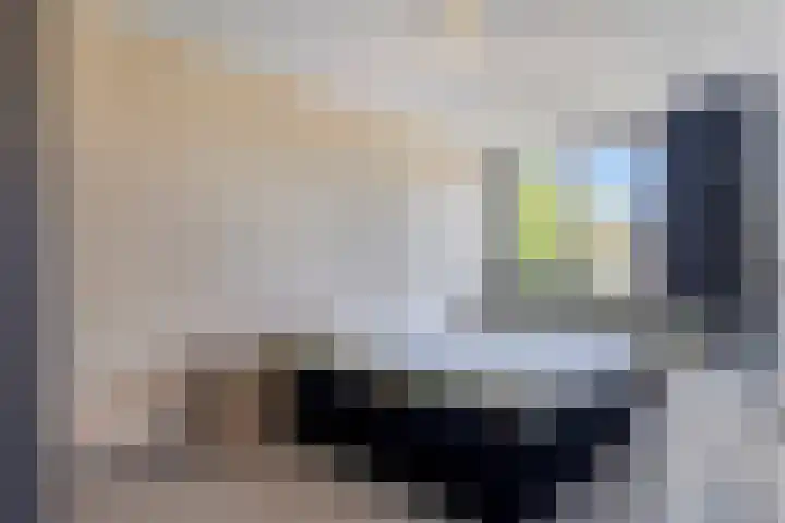 Leeuwerikenstraat 19 Goes thumbnail 4