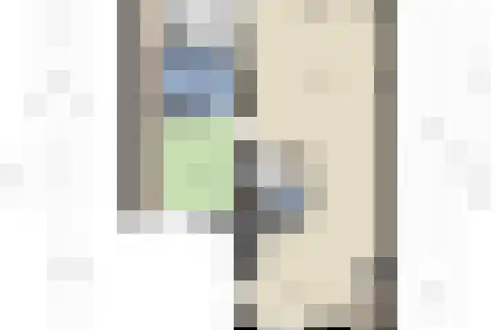 Leeuwerikenstraat 19 Goes thumbnail 41