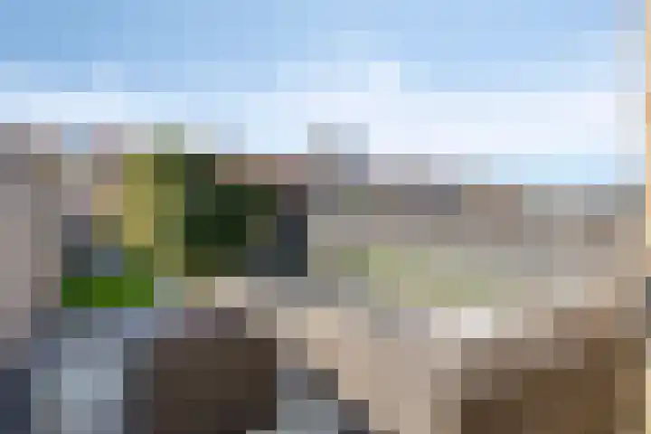 Leeuwerikenstraat 19 Goes thumbnail 5