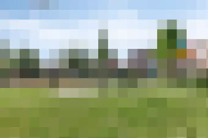 Leeuwerikenstraat 19 Goes thumbnail 6