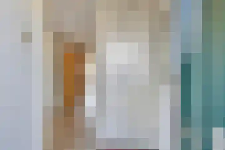Leeuwerikenstraat 19 Goes thumbnail 8