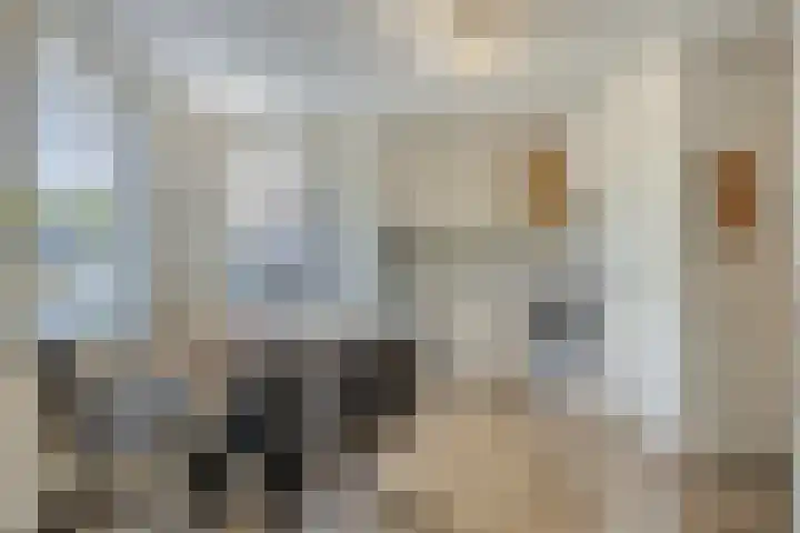 Leeuwerikenstraat 19 Goes thumbnail 9
