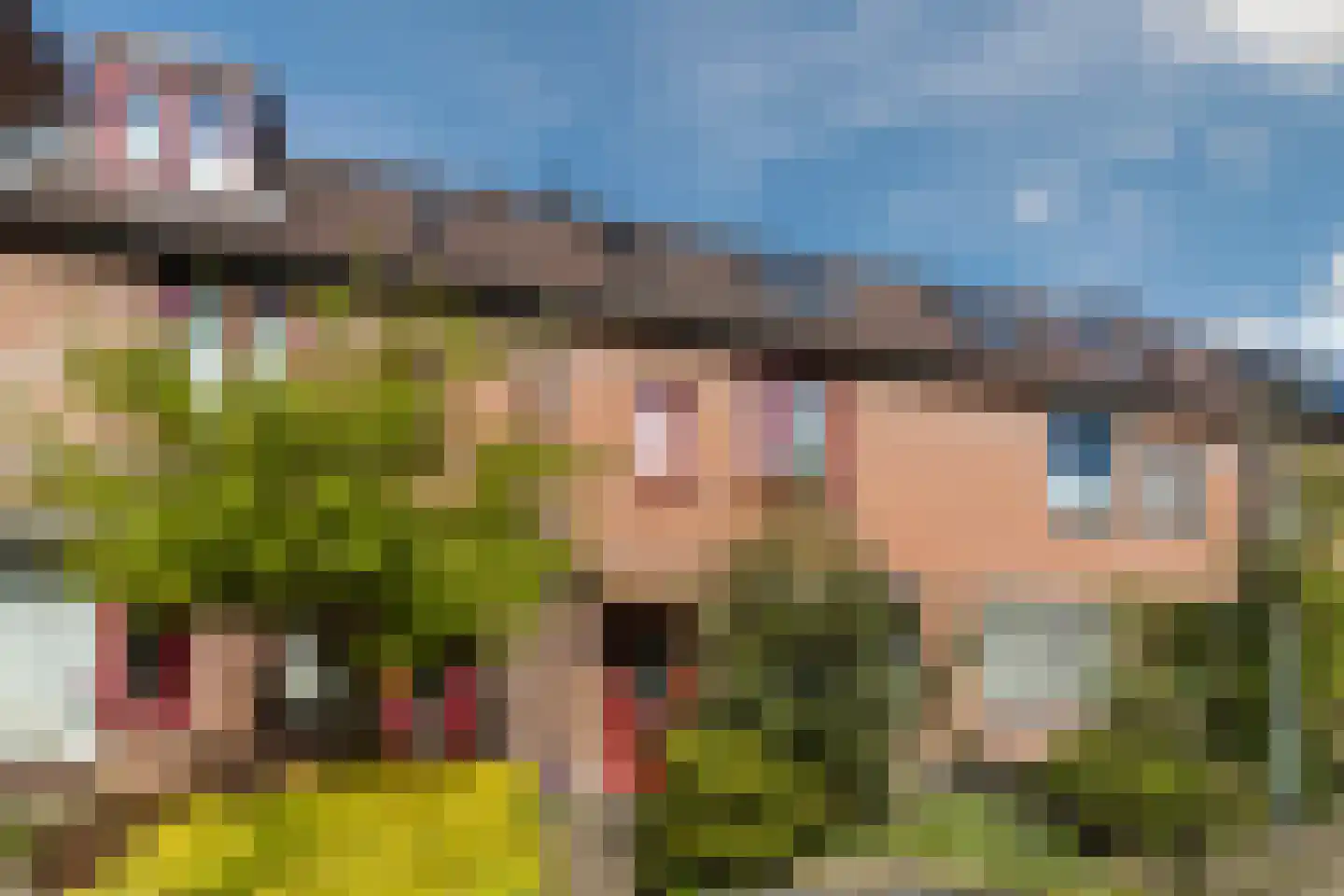 Leeuwerikerf 5 Voorschoten