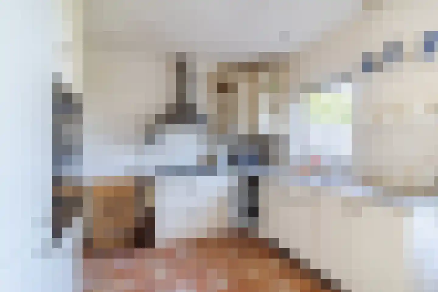 Leeuwerikerf 5 Voorschoten thumbnail 11