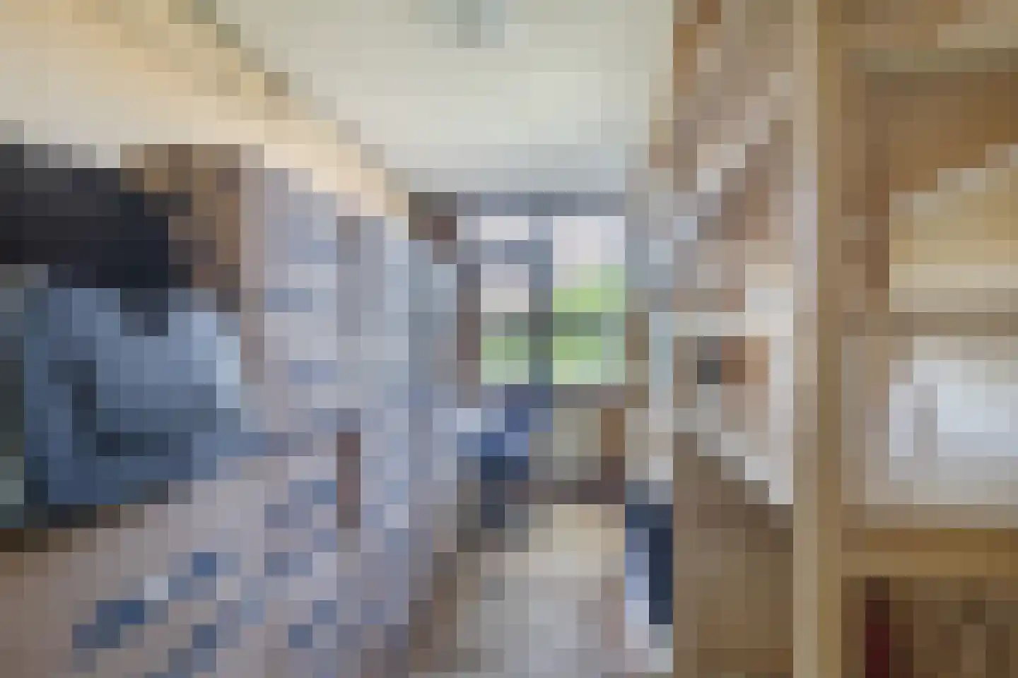 Leeuwerikerf 5 Voorschoten thumbnail 17