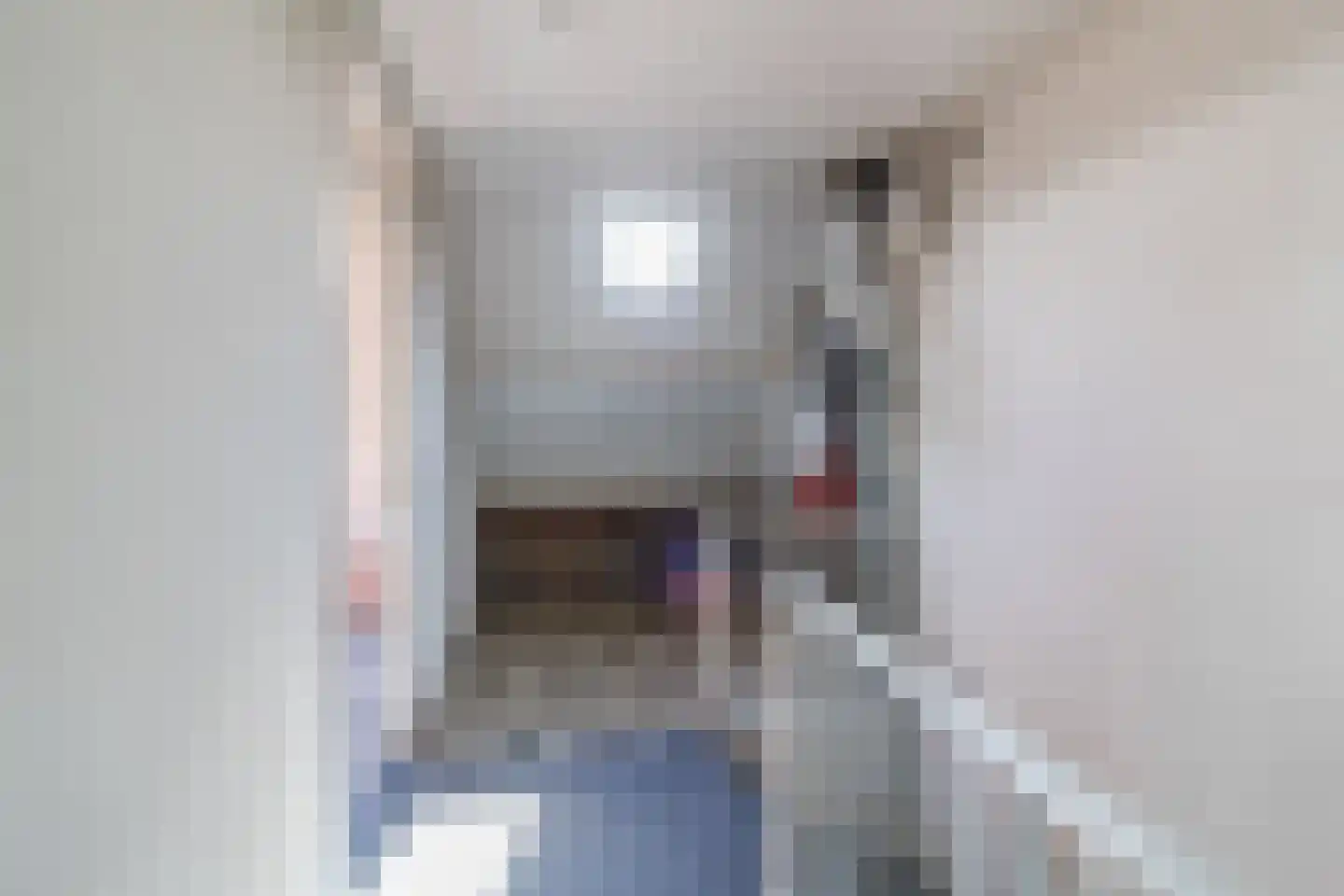 Leeuwerikerf 5 Voorschoten thumbnail 29