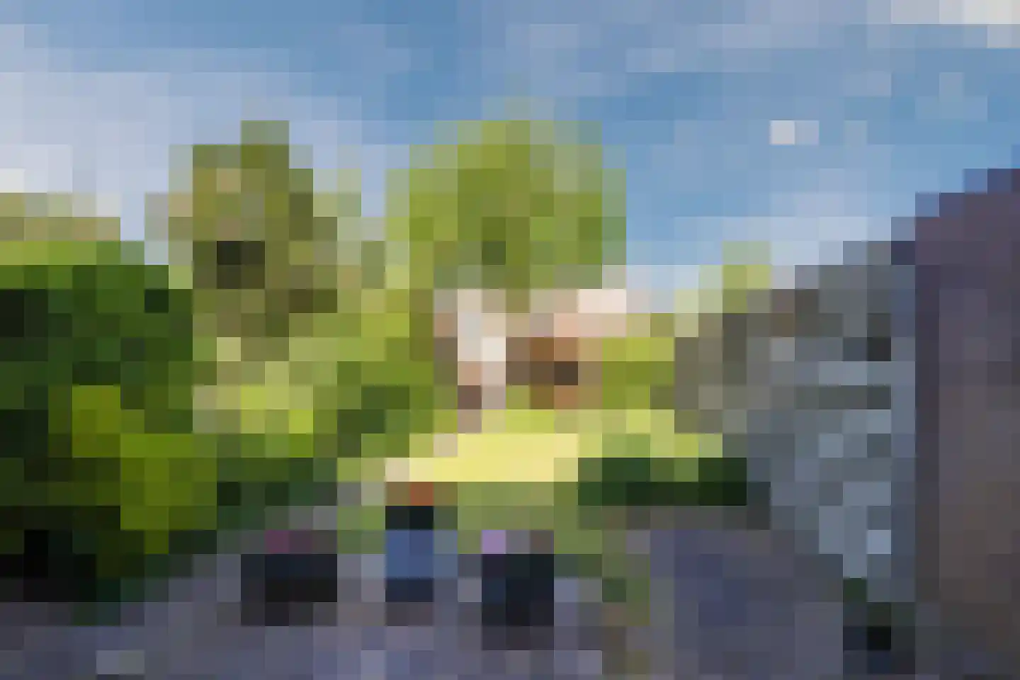 Leeuwerikerf 5 Voorschoten thumbnail 30