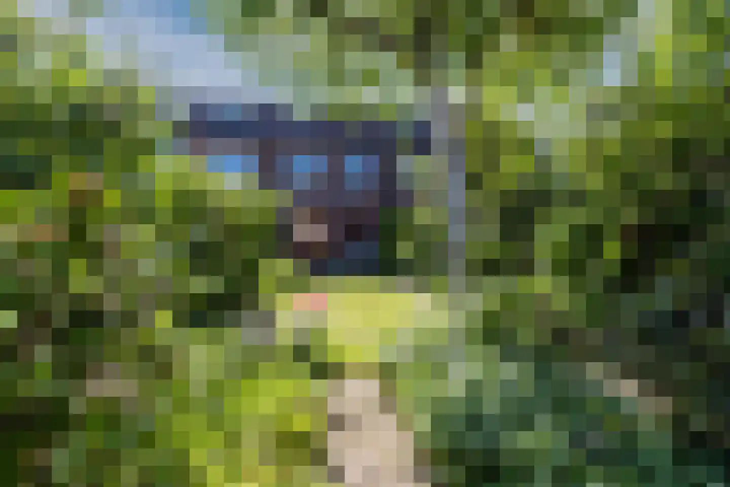 Leeuwerikerf 5 Voorschoten thumbnail 31