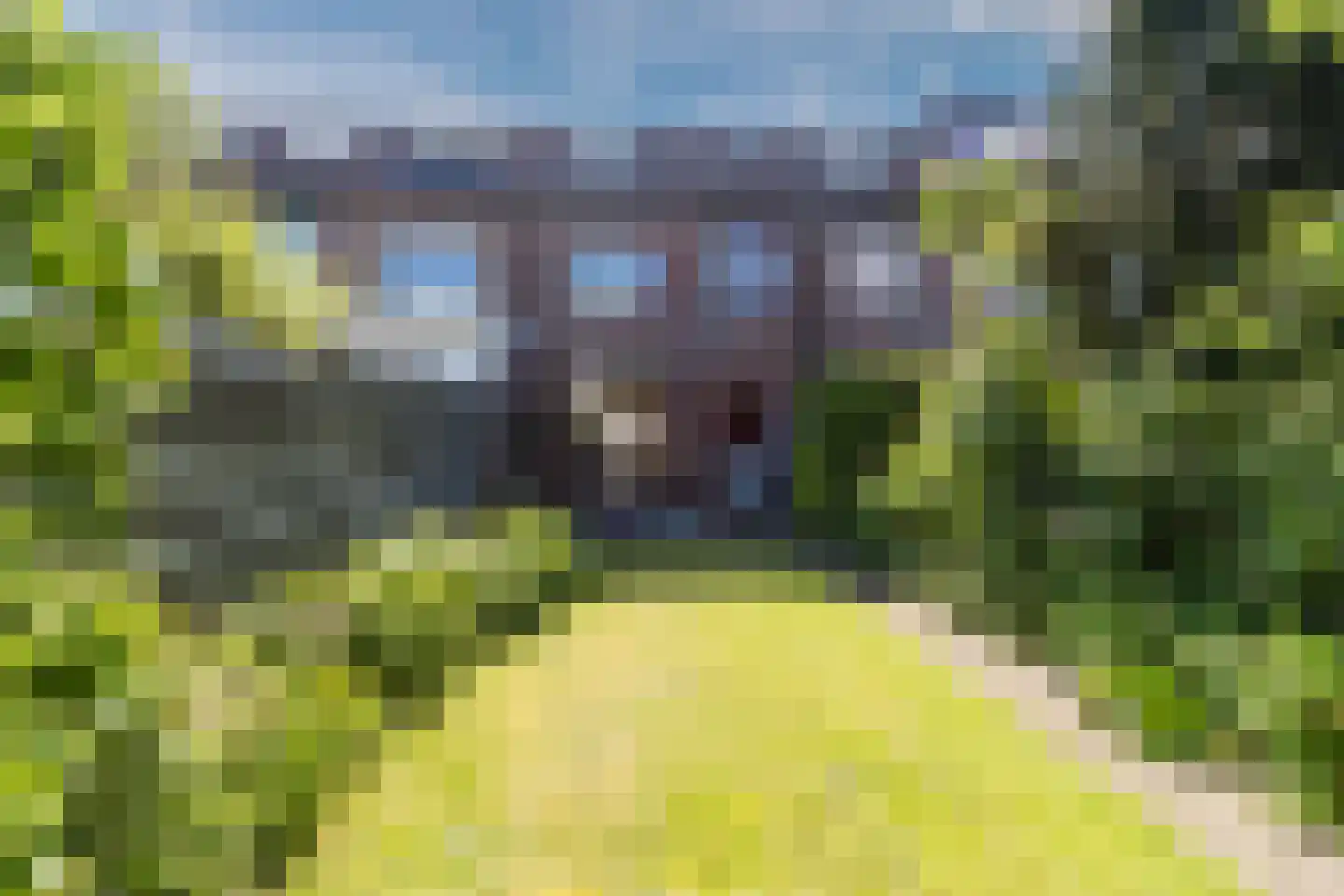 Leeuwerikerf 5 Voorschoten thumbnail 32